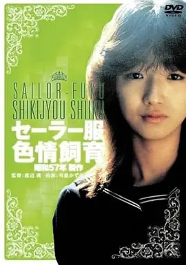 免费观看大片 账本里的秘密 短剧海报